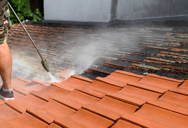 Best Deck Pressure Washing  in West Deland, FL