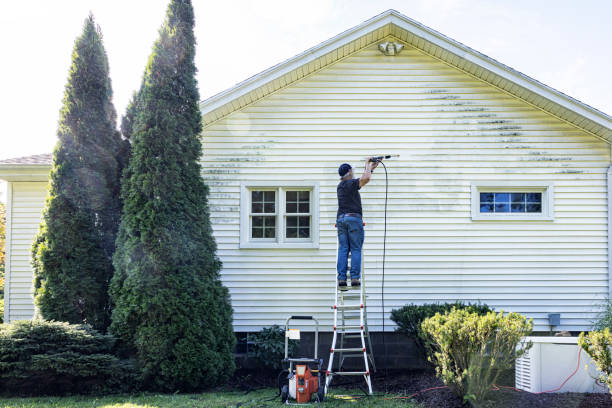 Best Affordable Power Washing  in West Deland, FL