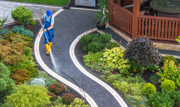 Best Roof Power Washing Services  in West Deland, FL