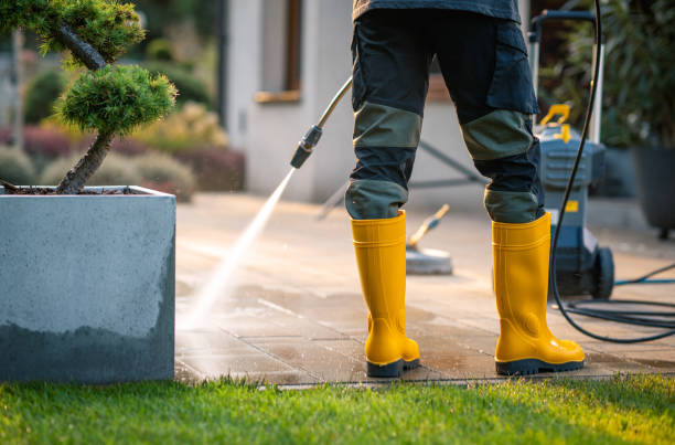 Best Pressure Washing Near Me  in West Deland, FL